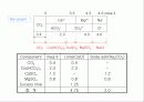 연수화 공정 11페이지