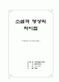 소설과 영상의 차이점 4페이지