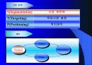 한국기업 FDI 사례 5페이지