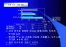 한국기업 FDI 사례 10페이지
