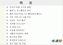 인터넷 대중문화 - 개인 커뮤니티(블로그, 미니홈피)의 동향과 그 변화 2페이지