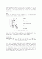 완충용액 3페이지