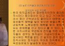 퇴직금 제도의 현황과 문제점과 대착방안 4페이지