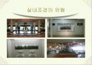 조경식재에 대한 연구 8페이지
