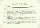 조경식재에 대한 연구 10페이지