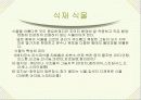 조경식재에 대한 연구 11페이지