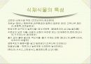 조경식재에 대한 연구 12페이지