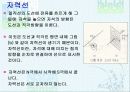 전기의 에너지 8페이지