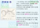 전기의 에너지 14페이지