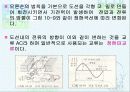 전기의 에너지 19페이지