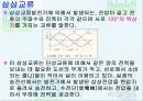 전기의 에너지 21페이지