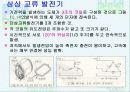 전기의 에너지 22페이지
