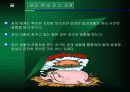 의식 심리학 12페이지