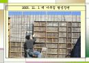 건설기술 포트폴리오 96페이지