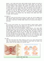 남녀 성이란 무엇인가 4페이지