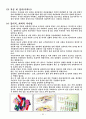 남녀 성이란 무엇인가 13페이지