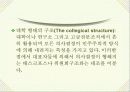 [사회과학] 관료제의 문제점과 해결방안 7페이지