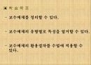 교수매체에 대한 이해 5페이지