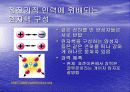유카와 히데키(노벨상 인물) 4페이지