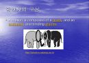 유카와 히데키(노벨상 인물) 17페이지