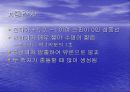 유카와 히데키(노벨상 인물) 18페이지