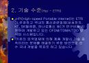 휴대 인터넷이란 무엇인가? 10페이지