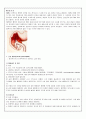 췌장염[pancreatitis, 膵臟炎]문헌고찰과 간호  1페이지
