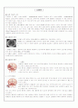 뇌졸중 (stroke)과 심근경색증 (myocardial infarction)  1페이지