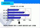 캐논 디지털 카메라 광고 기획서 8페이지
