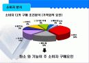 캐논 디지털 카메라 광고 기획서 10페이지