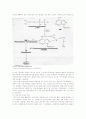 cytokinin 6페이지