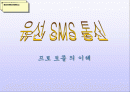 유선 SMS 통신 프로 토콜의 이해 1페이지