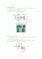 산소요법 (Oxygen therapy) 8페이지