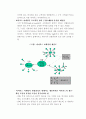 인터넷 마케팅의 신조류 : 바이러스 마케팅 3페이지