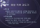 교육과정의 역사적 변천 4페이지