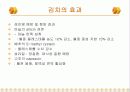 현대인의 식생활 10페이지