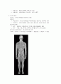 신경계의 기능과 구조 3페이지