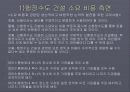 신행정수도 건설 10페이지