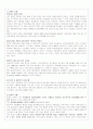 독일통일의 교훈 10페이지