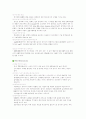 [마케팅 전략] 아리리버의 성공신화!!! 8페이지