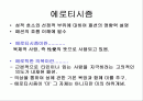 패션과 에로티시즘 2페이지