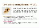 패션 이미지 미의식 3페이지