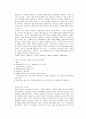 국제기업의 광고전략과 사례연구(대우) 11페이지
