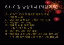 미국식과 유럽식 디지털 방송 방식 비교 8페이지