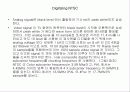 TV 수신방법 6페이지