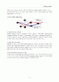 MPLS - Multiprotocol Label Switching 6페이지