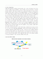 MPLS - Multiprotocol Label Switching 13페이지