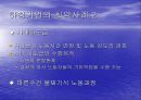 하청기업의 사례 8페이지