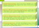 디지털방송 전환정책 9페이지