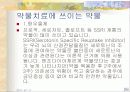 대인불안 극복방법 26페이지